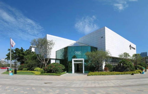 廈門城市職業(yè)學(xué)院商貿(mào)系學(xué)生黨支部走進(jìn)廈門奧林匹克博物館開展主題教育活動