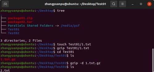 Linux操作系統(tǒng)初探 從計(jì)算機(jī)基礎(chǔ)到入門(mén)實(shí)踐